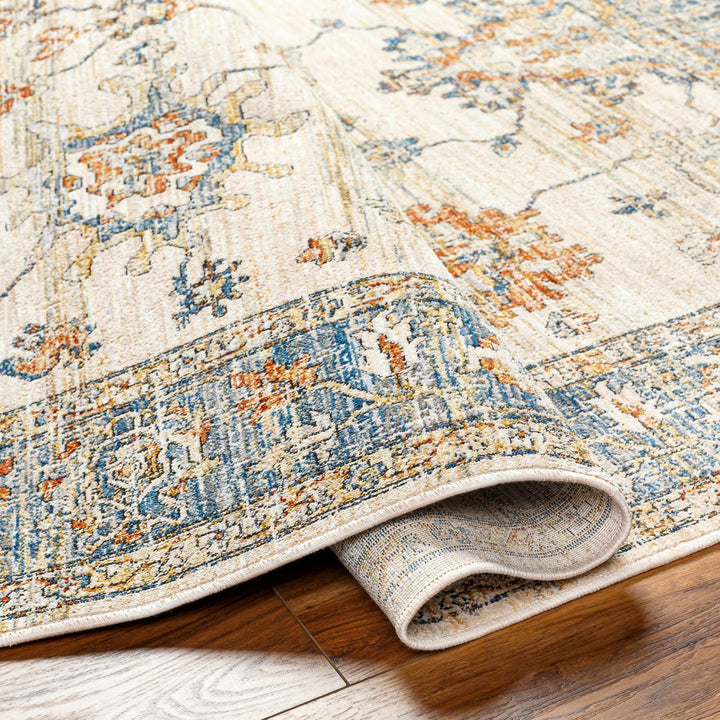 Luma Traditional Design Beige & Blue Area Rug - The Rug Decor