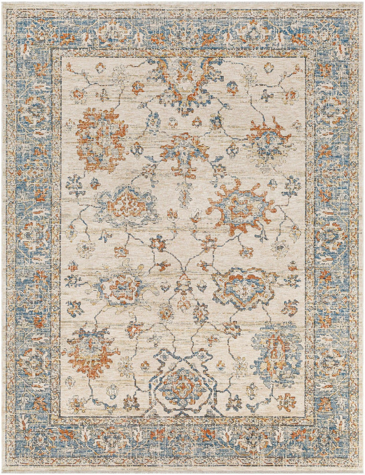 Luma Traditional Design Beige & Blue Area Rug - The Rug Decor