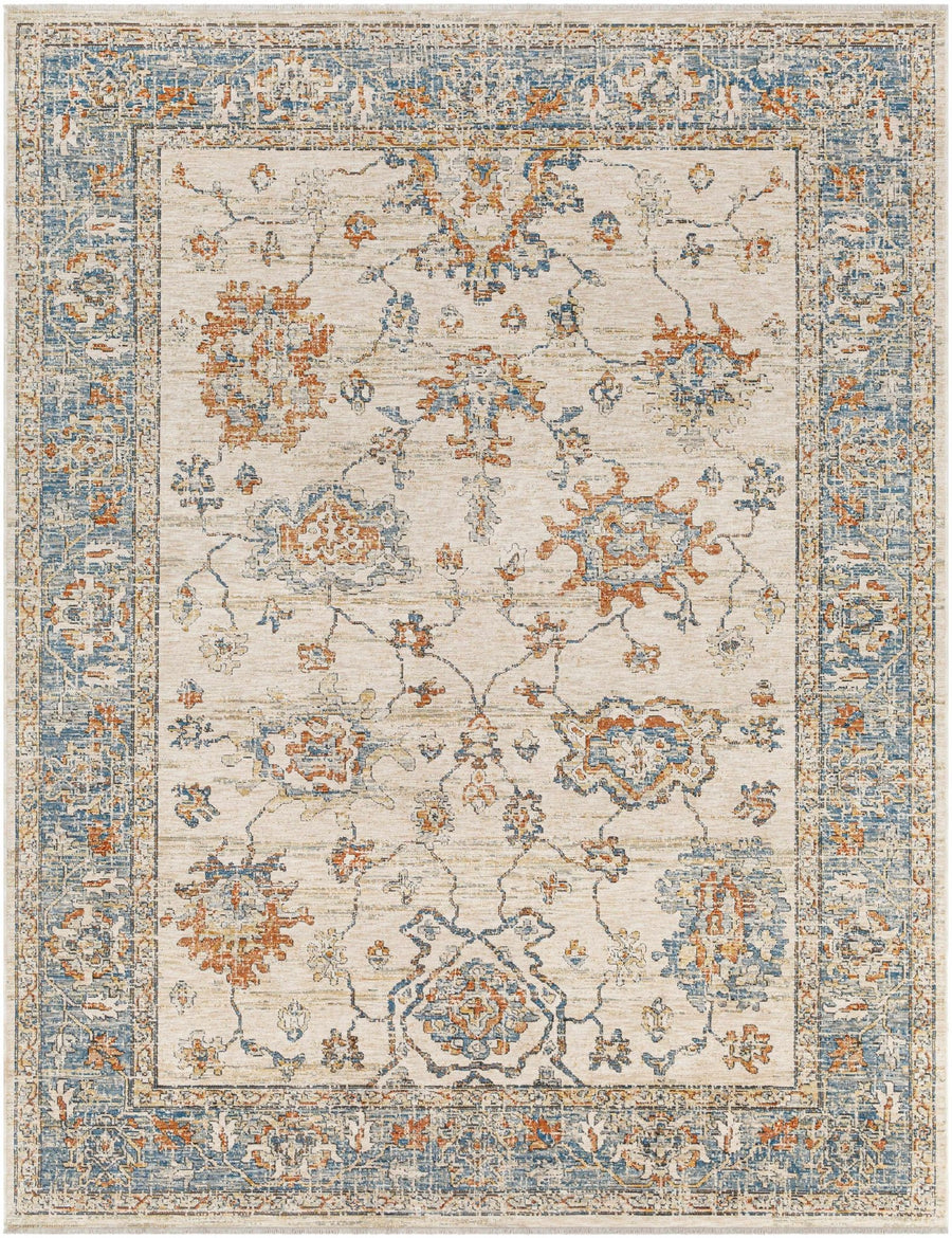 Luma Traditional Design Beige & Blue Area Rug - The Rug Decor