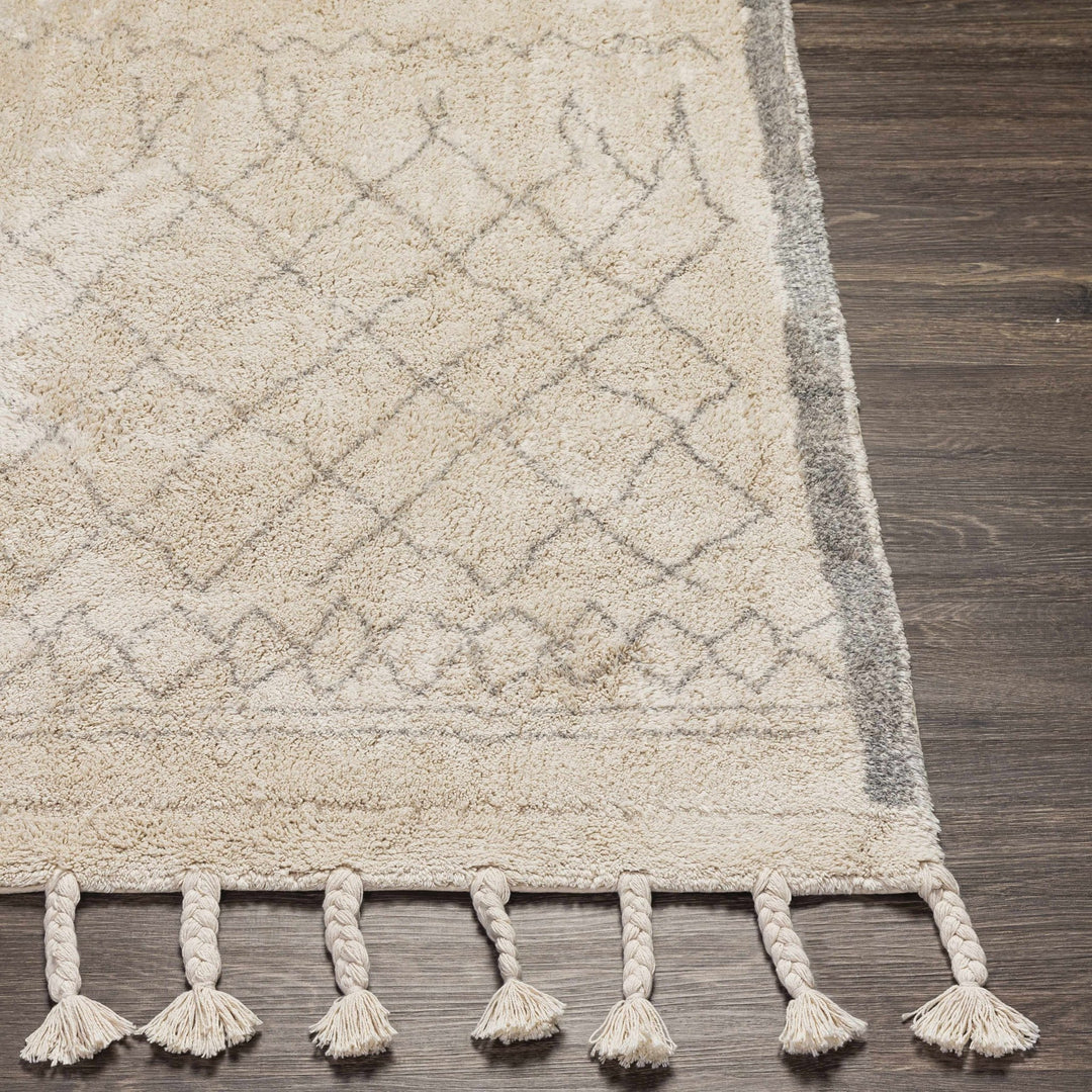 Luncarty Modern Geometrical Design Ivory Hand Woven Area Rug - The Rug Decor