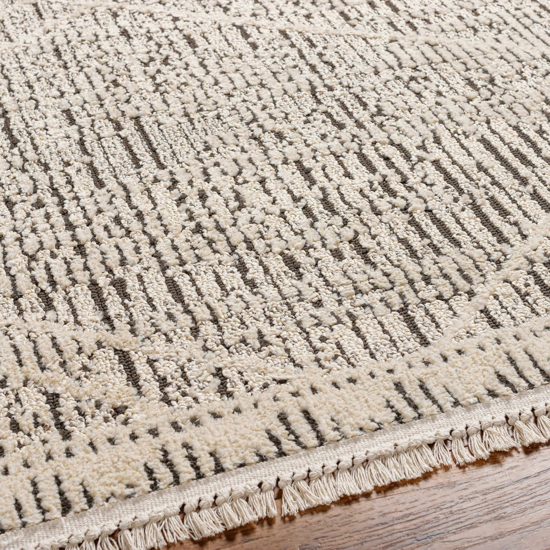 Luuk Beige And Gray Contemporary Style Area Rug - The Rug Decor