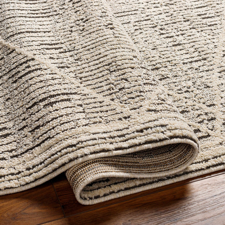 Luuk Beige And Gray Contemporary Style Area Rug - The Rug Decor