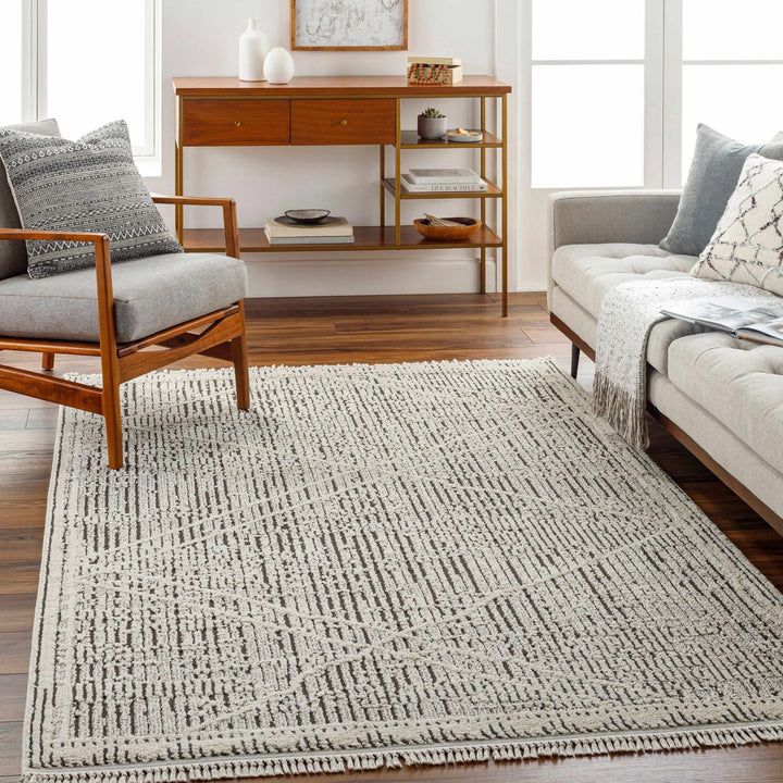 Luuk Beige And Gray Contemporary Style Area Rug - The Rug Decor