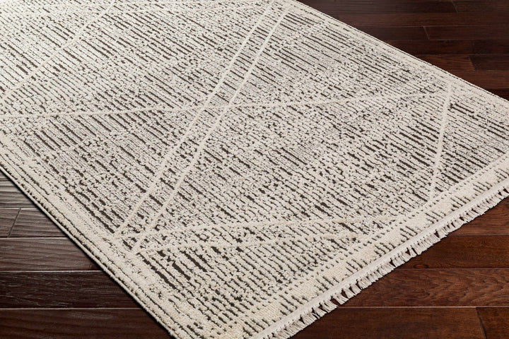 Luuk Beige And Gray Contemporary Style Area Rug - The Rug Decor