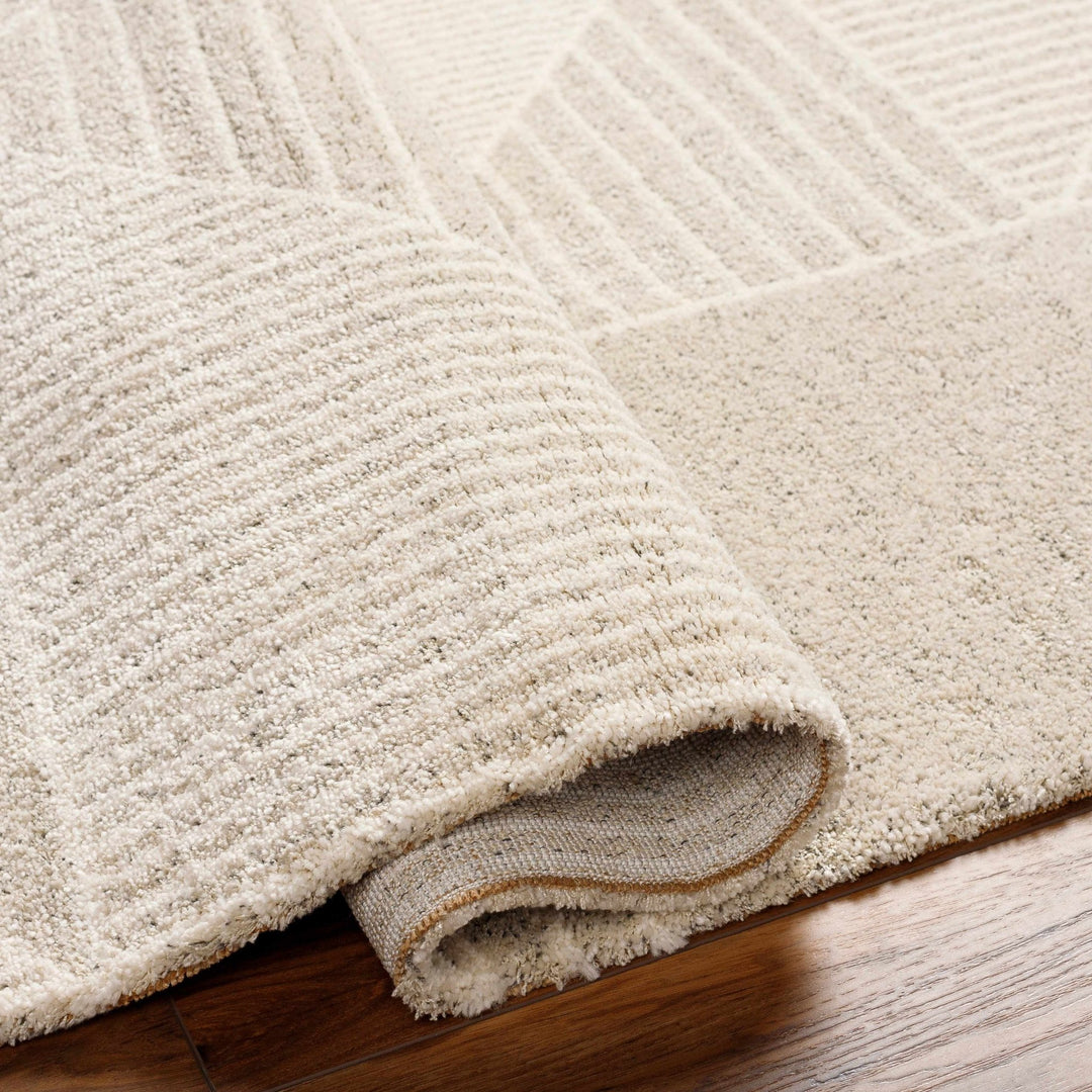 Machine Woven Beige Contemporary Style Rug - The Rug Decor