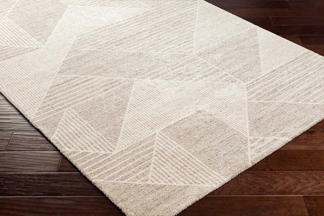Compentary Style Rug Machine Woven Beige Contemporary Style Rug – The Rug Decor