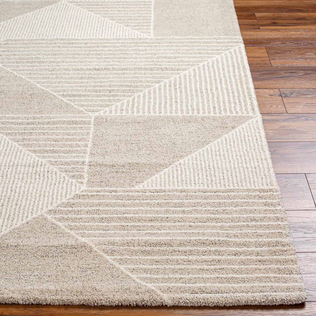 Machine Woven Beige Contemporary Style Rug - The Rug Decor