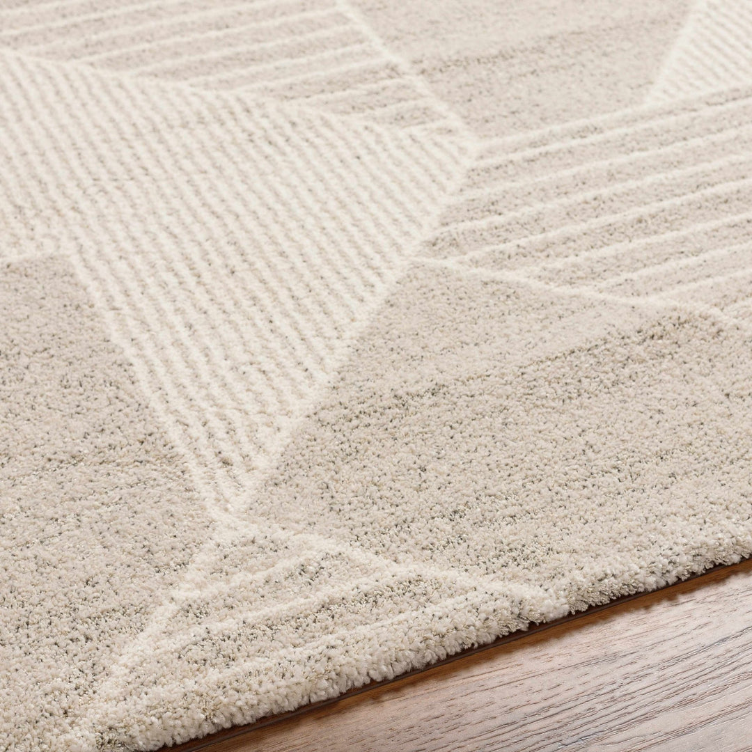 Machine Woven Beige Contemporary Style Rug - The Rug Decor