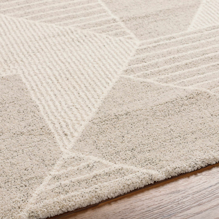 Machine Woven Beige Contemporary Style Rug - The Rug Decor