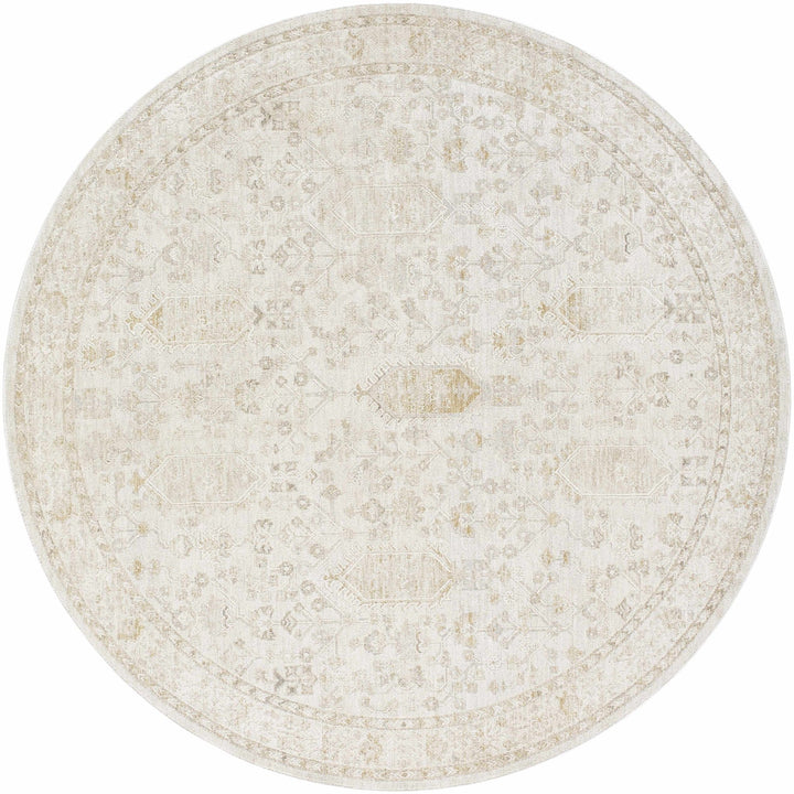 Machine Woven Gray Traditional Style Area Rug - The Rug Decor