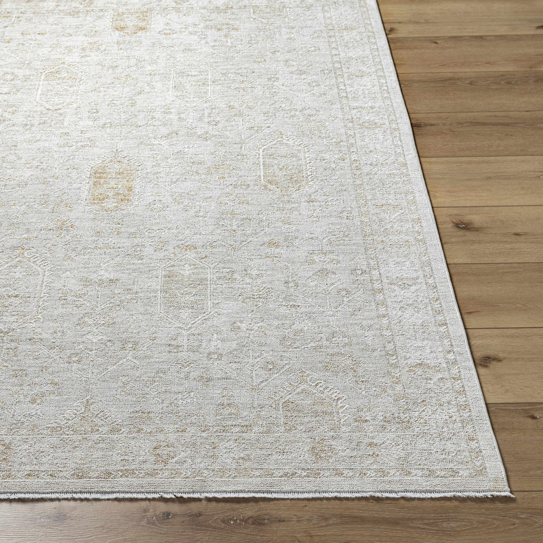 Machine Woven Gray Traditional Style Area Rug - The Rug Decor
