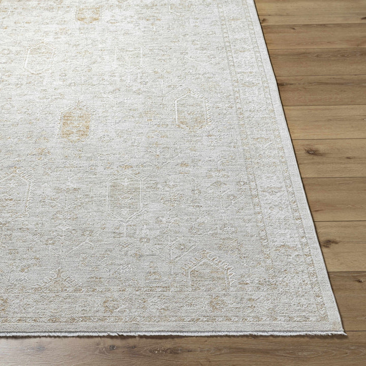 Machine Woven Gray Traditional Style Area Rug - The Rug Decor