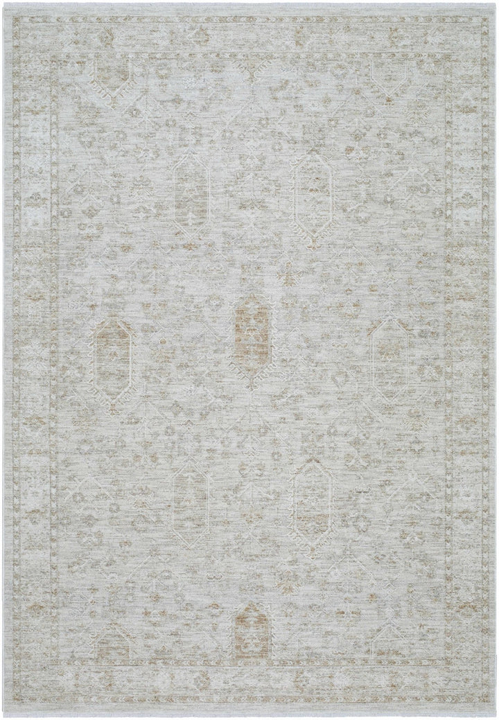 Machine Woven Gray Traditional Style Area Rug - The Rug Decor