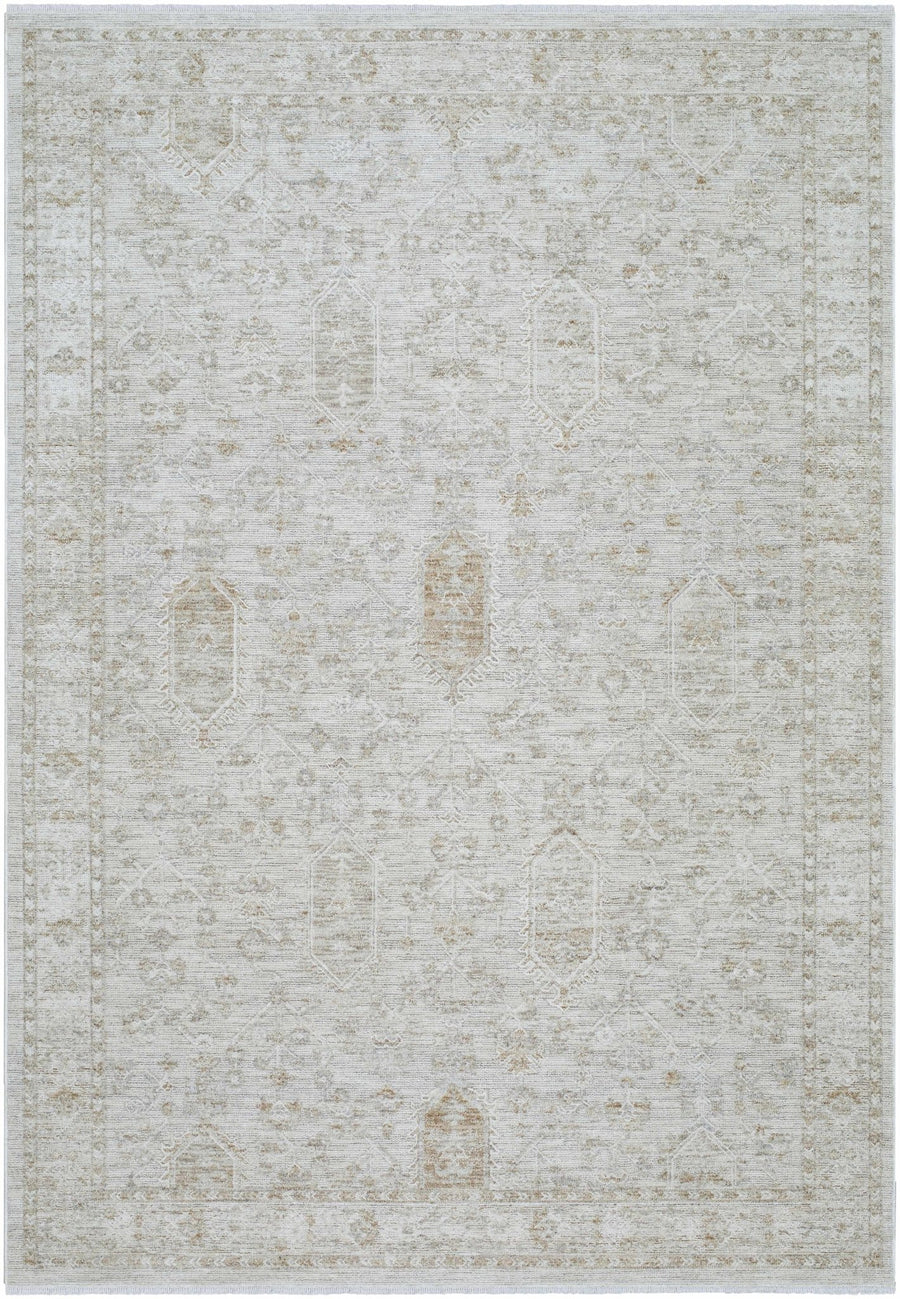 Machine Woven Gray Traditional Style Area Rug - The Rug Decor