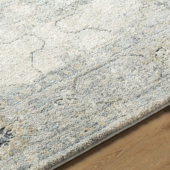 Machine Woven Traditional Style Beige And Gray Area Rug - The Rug Decor