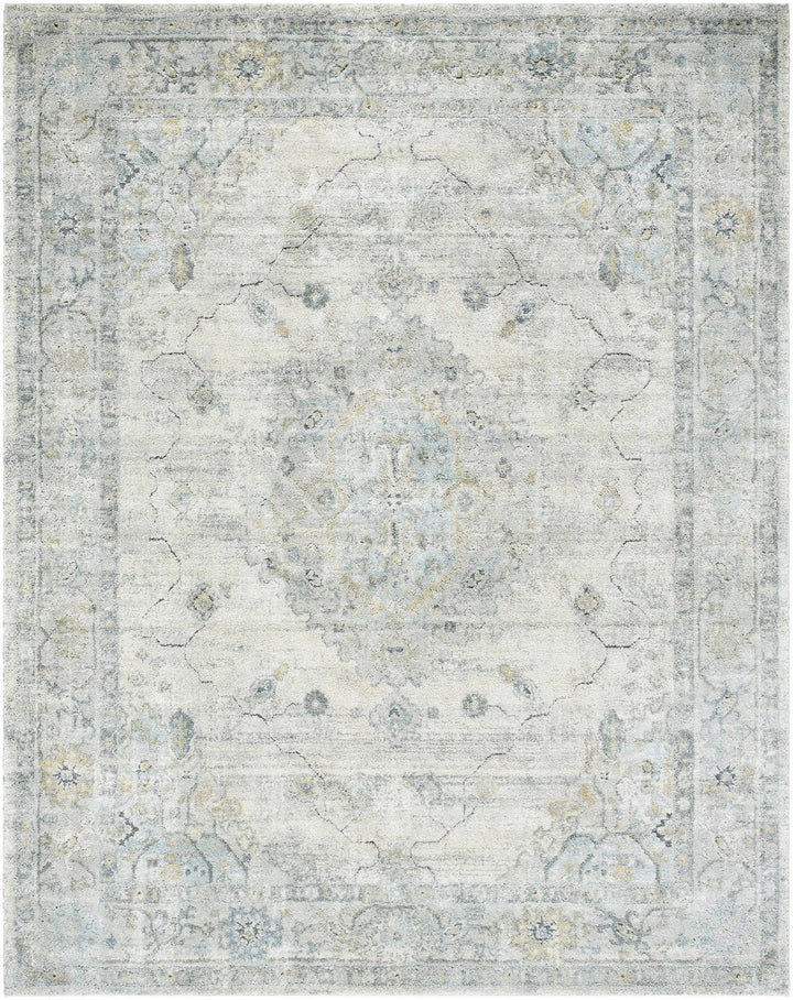 Machine Woven Traditional Style Beige And Gray Area Rug - The Rug Decor