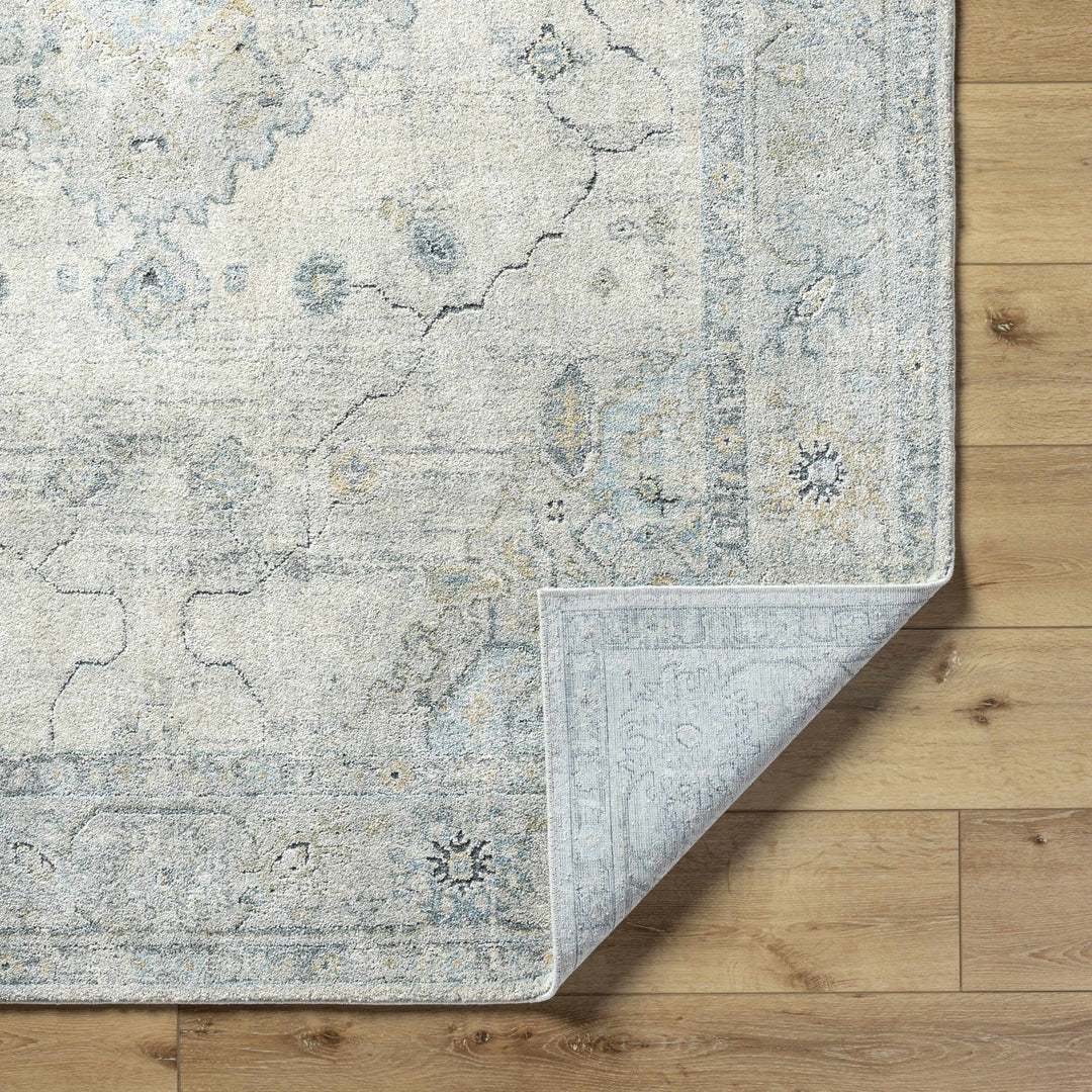 Machine Woven Traditional Style Beige And Gray Area Rug - The Rug Decor