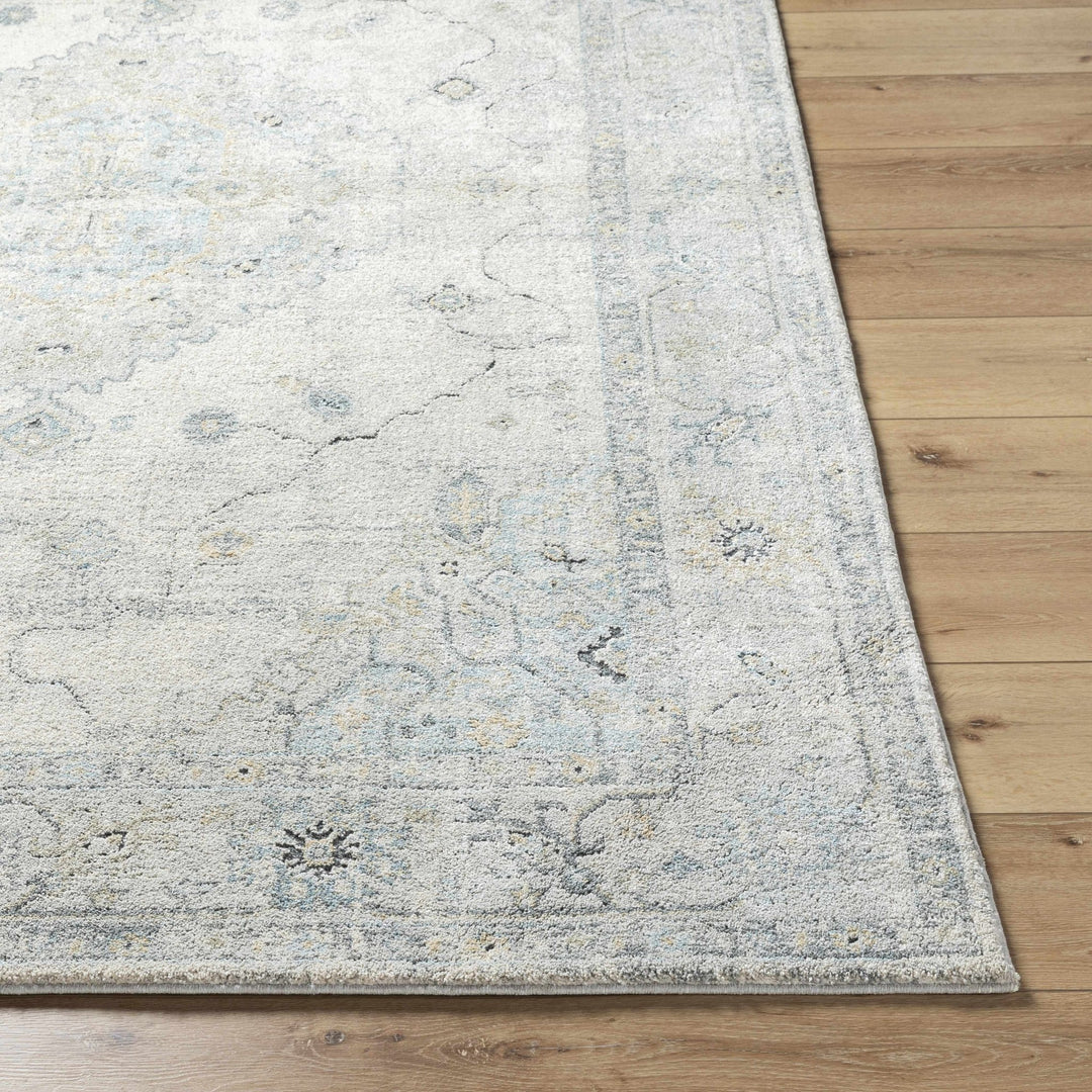 Machine Woven Traditional Style Beige And Gray Area Rug - The Rug Decor