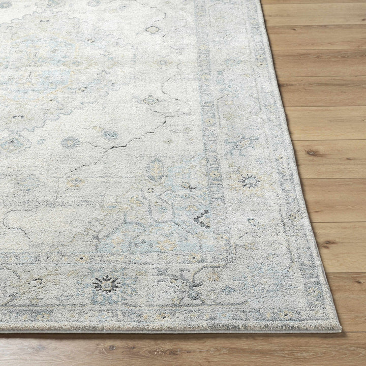 Machine Woven Traditional Style Beige And Gray Area Rug - The Rug Decor