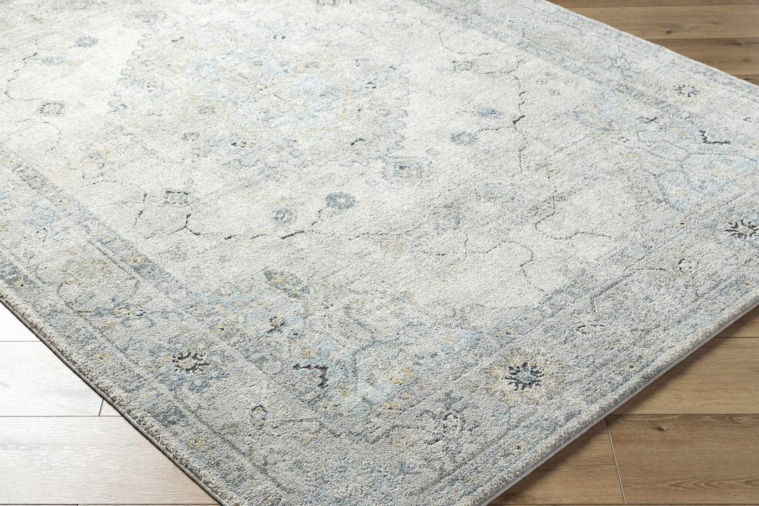Machine Woven Traditional Style Beige And Gray Area Rug - The Rug Decor
