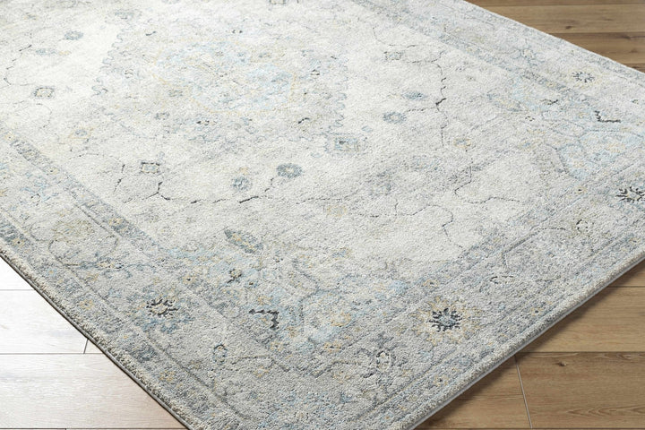 Machine Woven Traditional Style Beige And Gray Area Rug - The Rug Decor