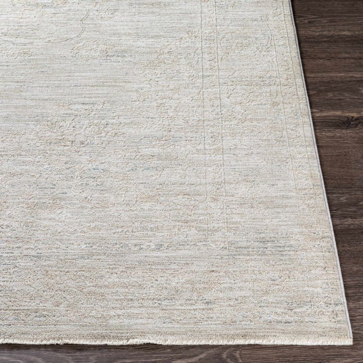 Machine Woven Transitional Style Taupe, Gray Rug - The Rug Decor
