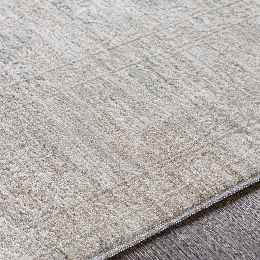 Machine Woven Transitional Style Taupe, Gray Rug - The Rug Decor