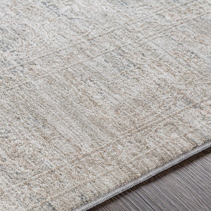 Machine Woven Transitional Style Taupe, Gray Rug - The Rug Decor