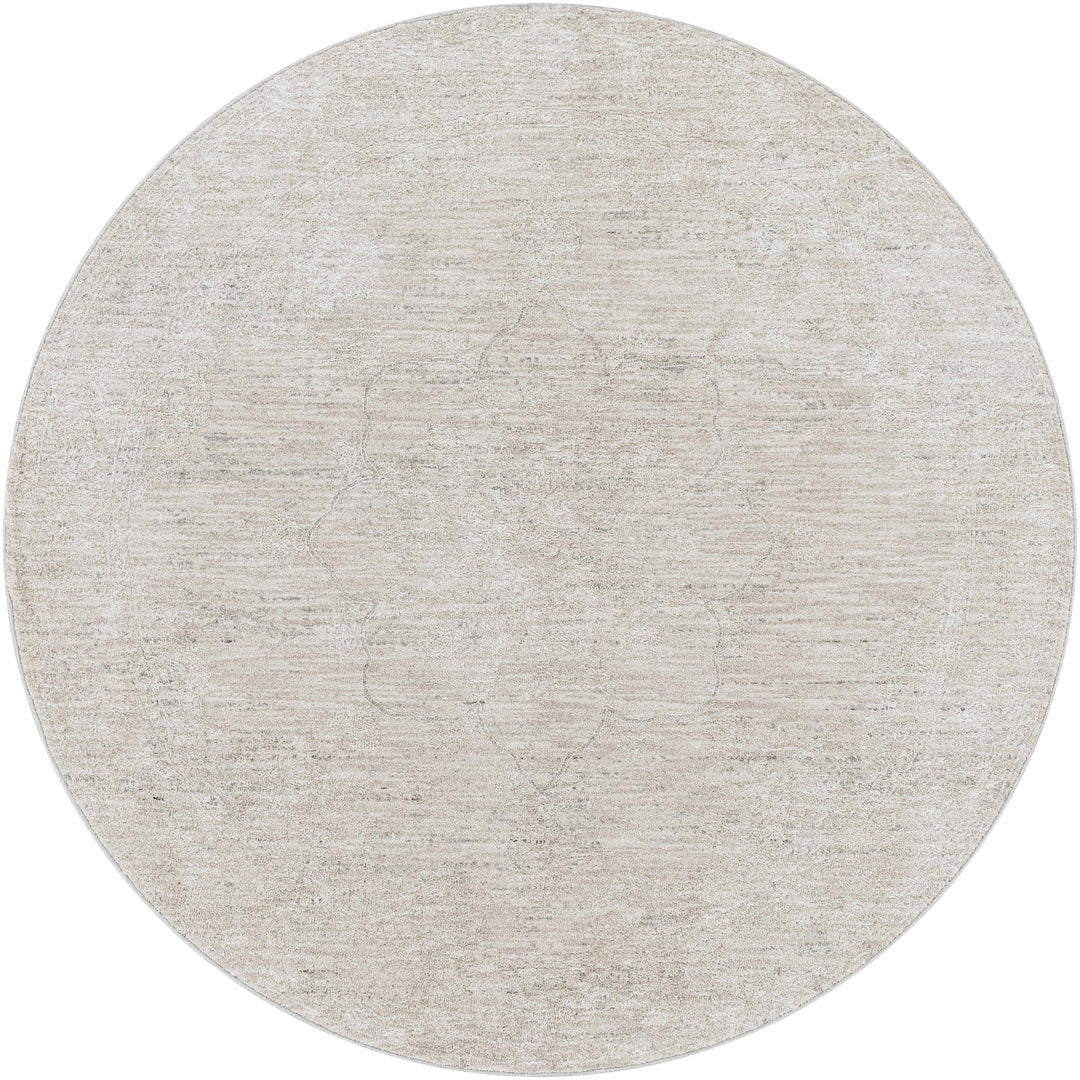 Machine Woven Transitional Style Taupe, Gray Rug - The Rug Decor