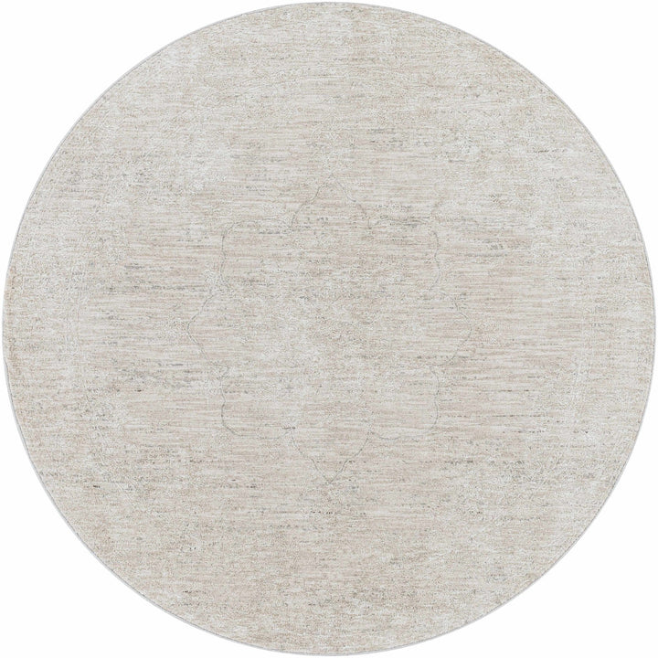 Machine Woven Transitional Style Taupe, Gray Rug - The Rug Decor
