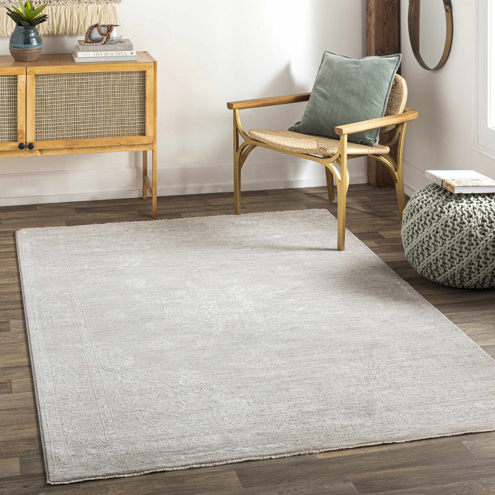 Machine Woven Transitional Style Taupe, Gray Rug - The Rug Decor