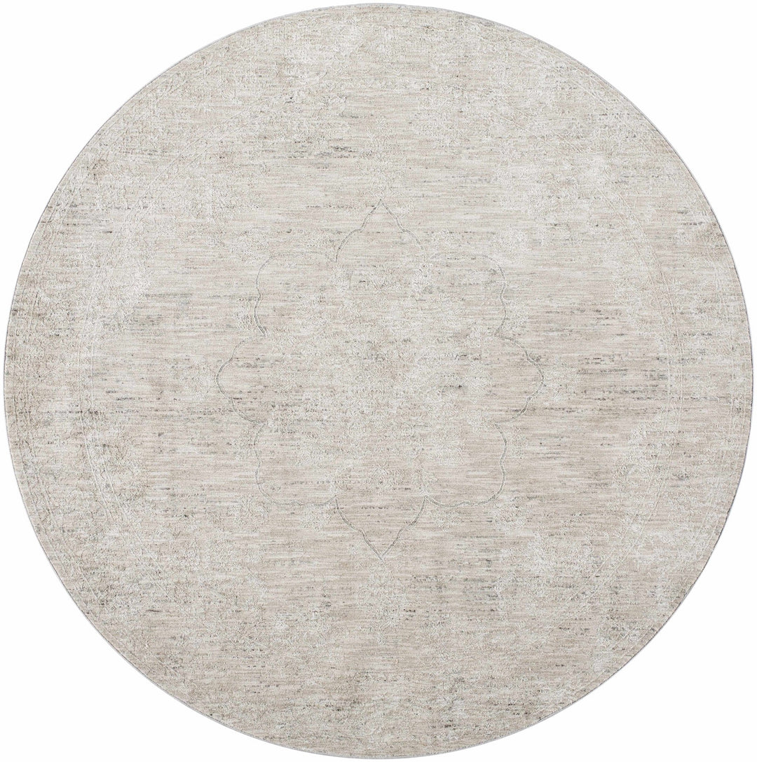 Machine Woven Transitional Style Taupe, Gray Rug - The Rug Decor