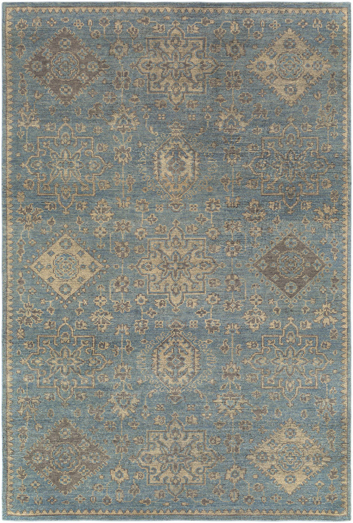 Macmerry Traditional Style Blue And Beige Hand Knotted Area Rug