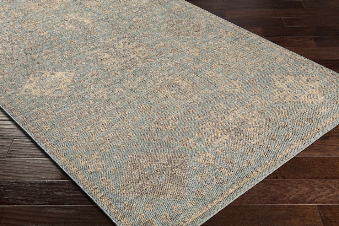 Macmerry Traditional Style Blue And Beige Hand Knotted Area Rug