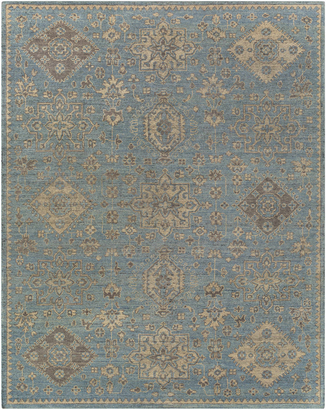 Macmerry Traditional Style Blue And Beige Hand Knotted Area Rug