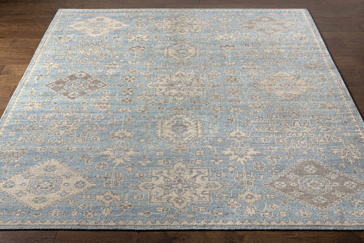 Macmerry Traditional Style Blue And Beige Hand Knotted Area Rug