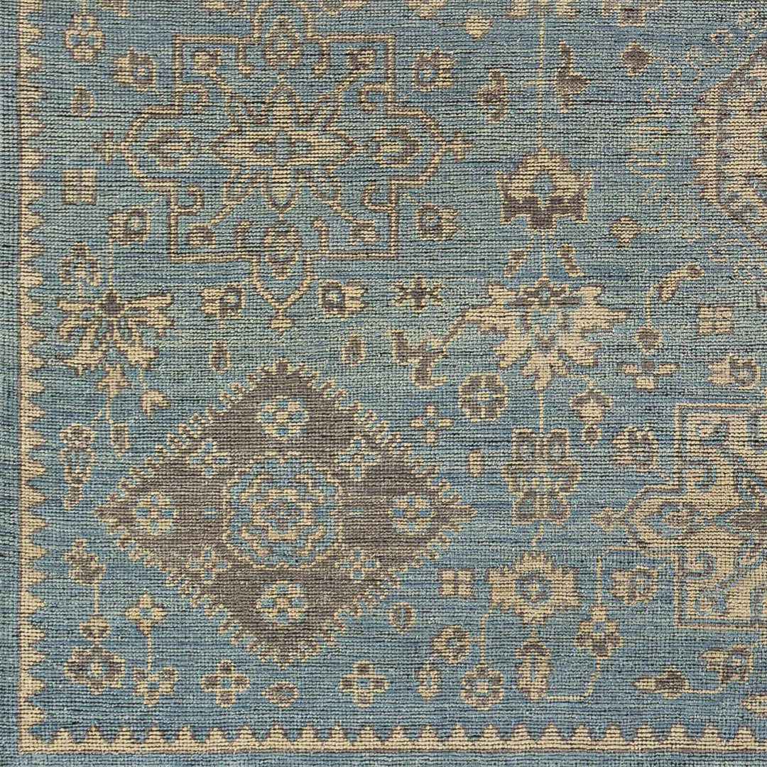 Macmerry Traditional Style Blue And Beige Hand Knotted Area Rug