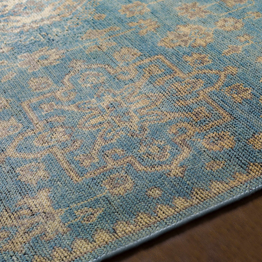 Macmerry Traditional Style Blue And Beige Hand Knotted Area Rug