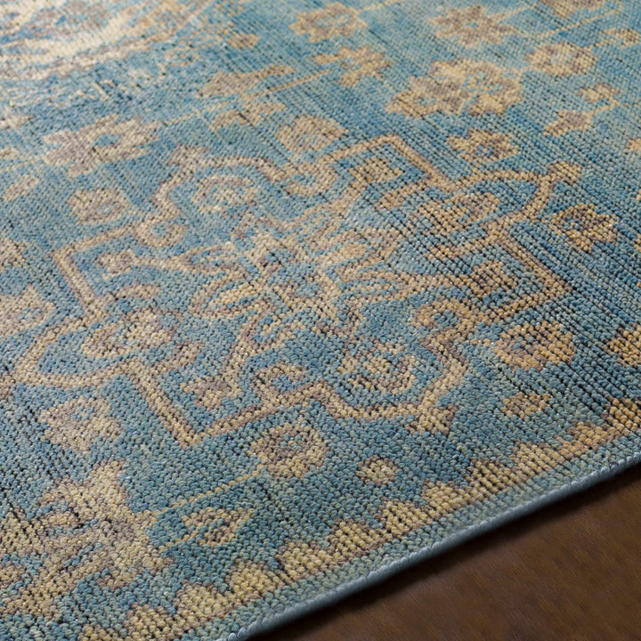 Macmerry Traditional Style Blue And Beige Hand Knotted Area Rug