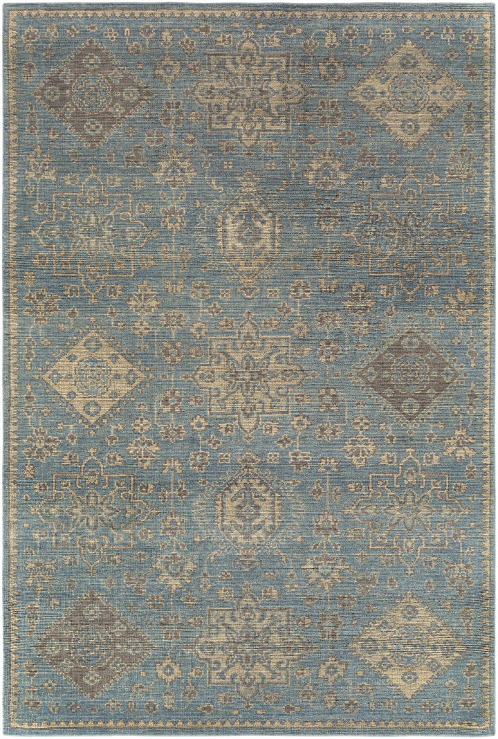 Macmerry Traditional Style Blue And Beige Hand Knotted Area Rug - The Rug Decor