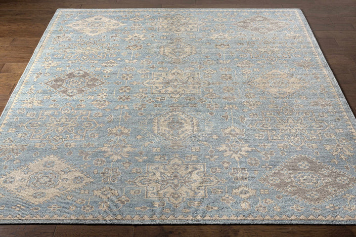 Macmerry Traditional Style Blue And Beige Hand Knotted Area Rug - The Rug Decor