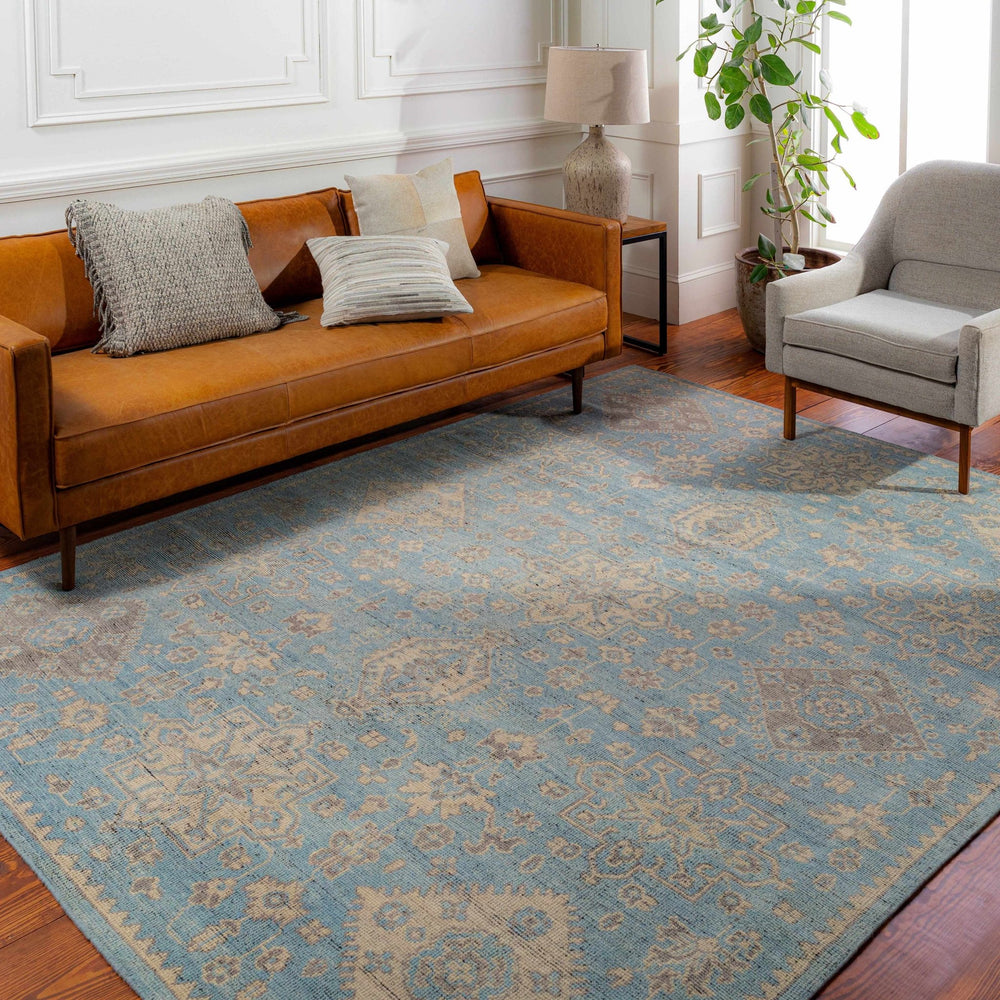 Macmerry Traditional Style Blue And Beige Hand Knotted Area Rug - The Rug Decor