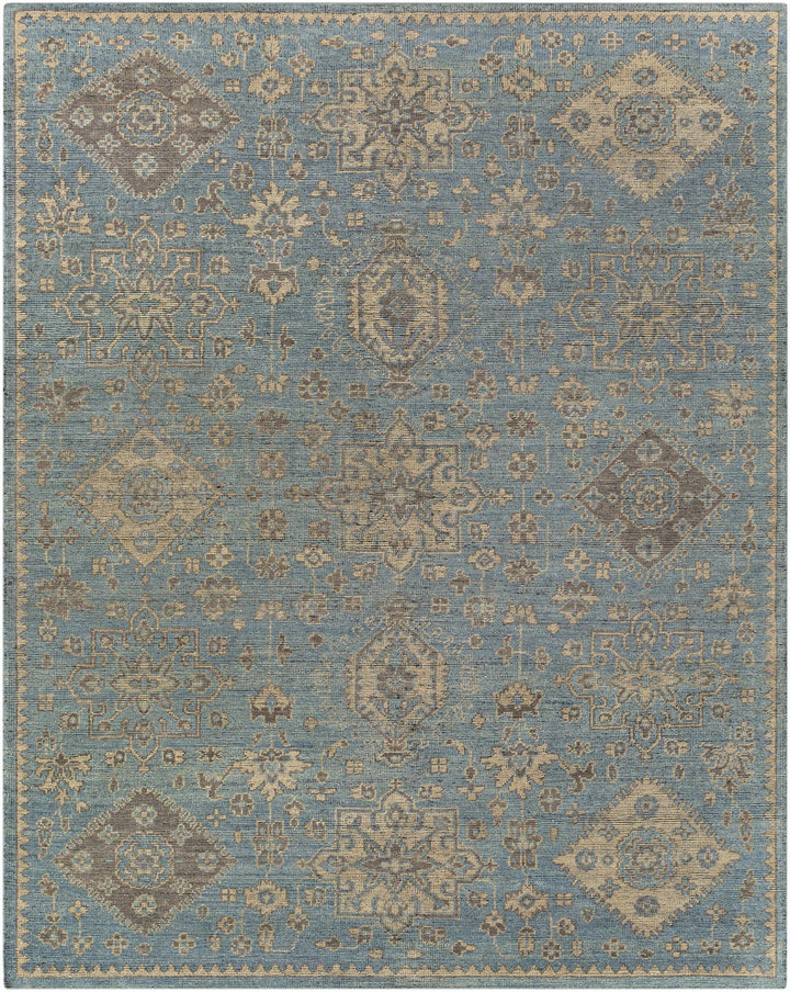 Macmerry Traditional Style Blue And Beige Hand Knotted Area Rug - The Rug Decor