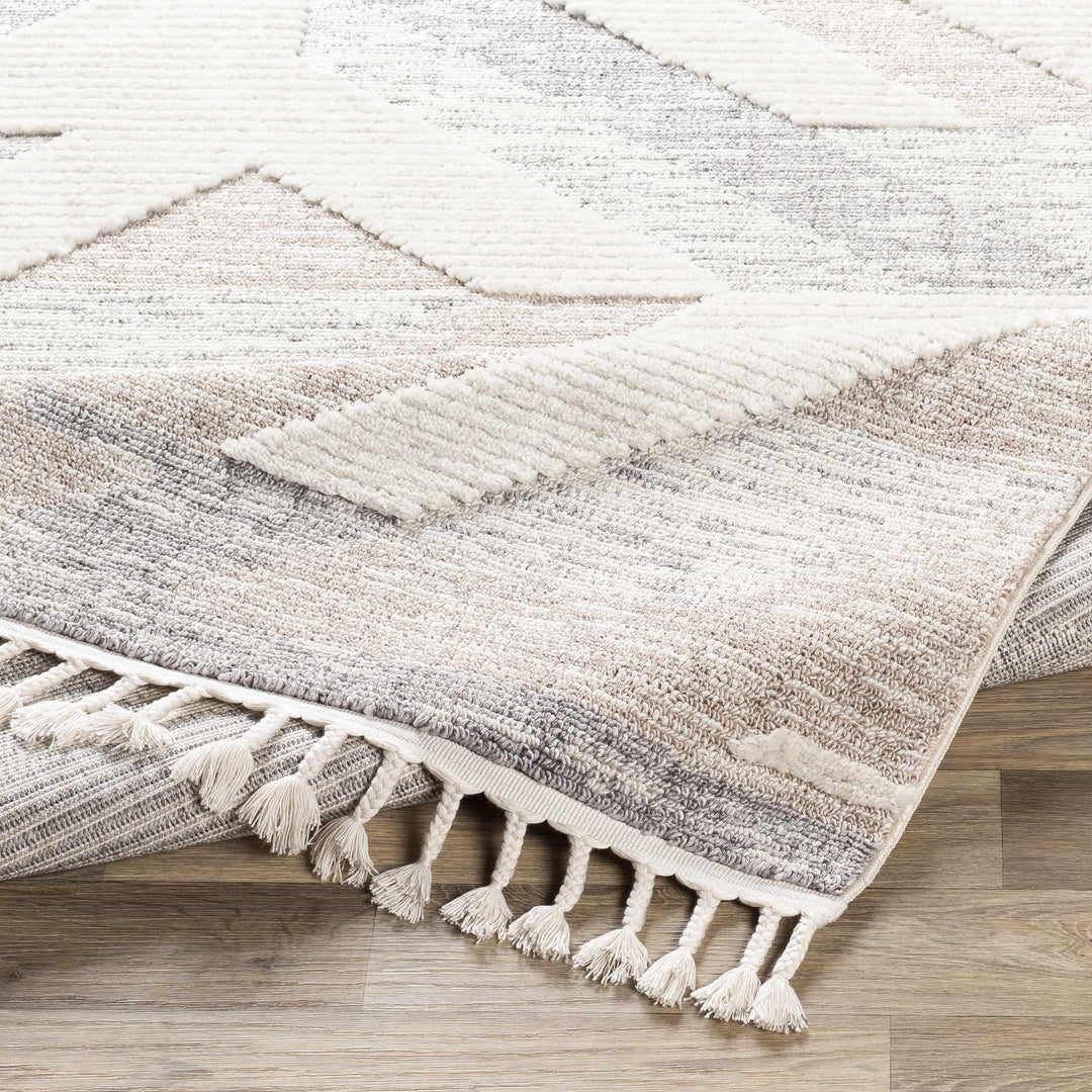 Magazine Modern Style Beige And Gray Area Rug