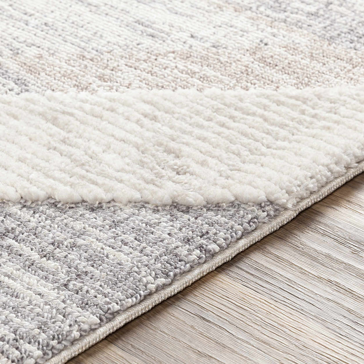 Magazine Modern Style Beige And Gray Area Rug