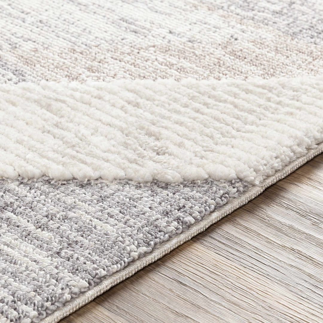 Magazine Modern Style Beige And Gray Area Rug - The Rug Decor