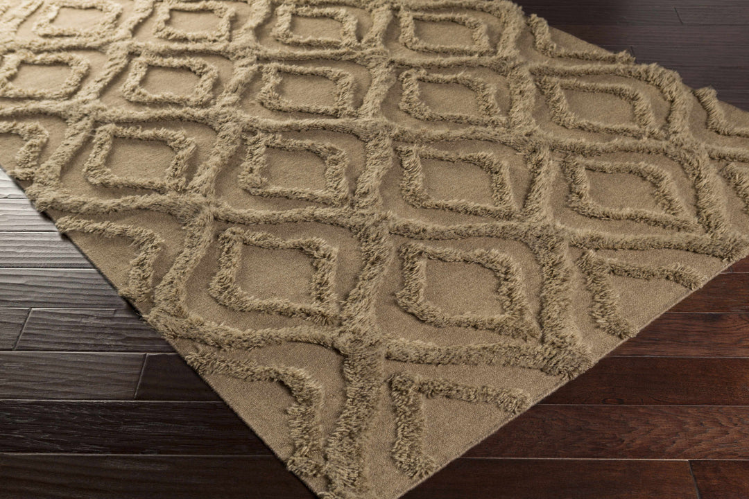 Manorville Contemporary Geometrical Brown Hand Woven Area Rug
