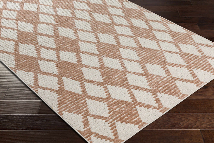 Mansilingan Bohemian Style Pink & Off White Outdoor Area Rug - The Rug Decor