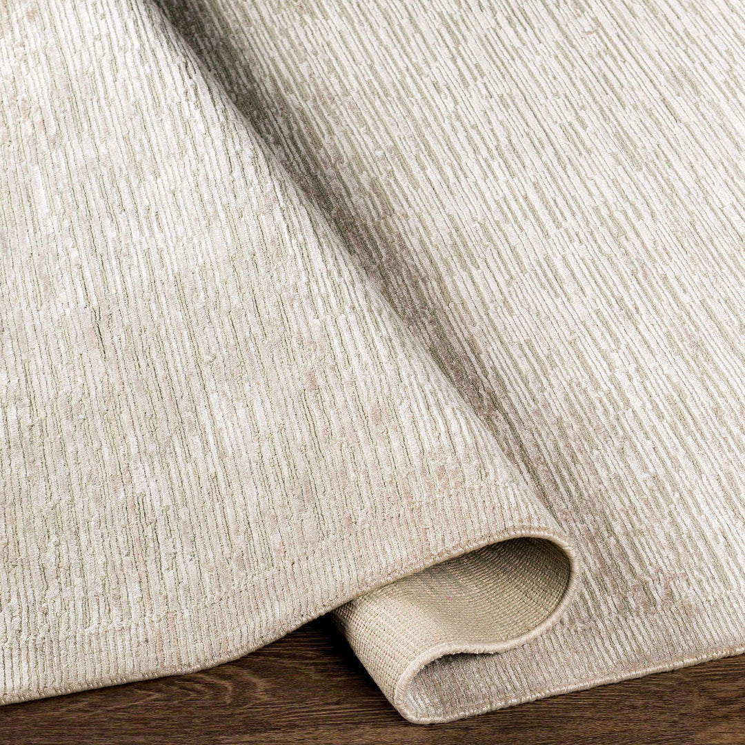 Mardi Beige Modern Style Hand Knotted Area Rug