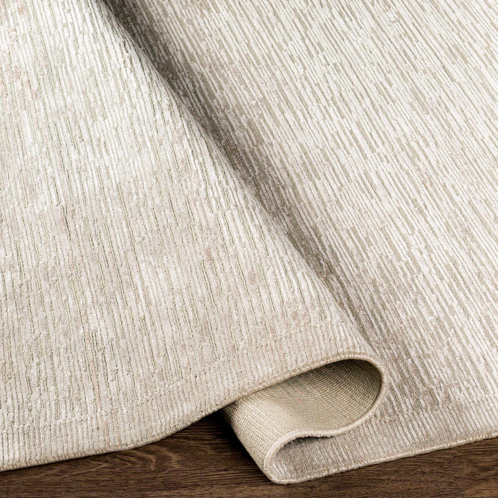 Mardi Beige Modern Style Hand Knotted Area Rug